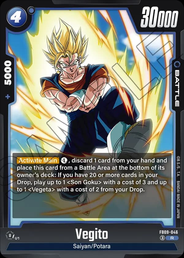 Vegito — R, FB09