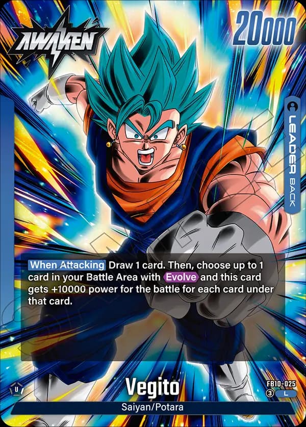 Son Goku/Vegeta — L, FB10 — Back